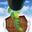 Manufacturers should be exploring ways to standardize sustainability in their processing lines to save on cost, time and their carbon footprint.