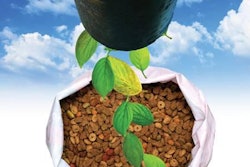 Manufacturers should be exploring ways to standardize sustainability in their processing lines to save on cost, time and their carbon footprint.