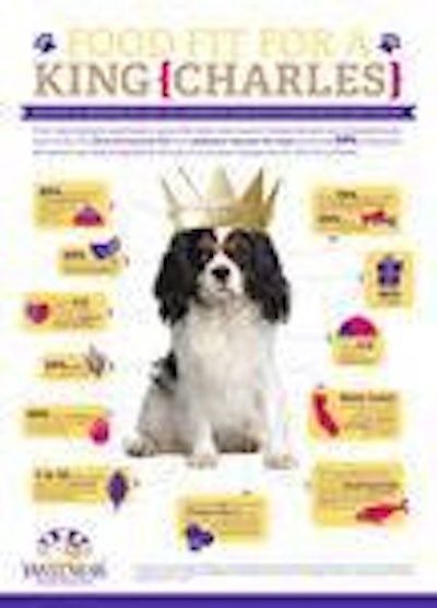 Wellpet Dog Infographic 1407 Pe Tnews