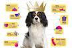 Wellpet Dog Infographic 1407 Pe Tnews
