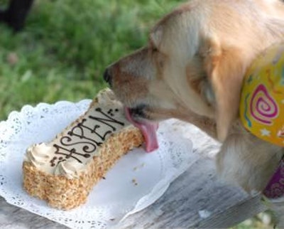 Three Dog starts its new products out in its 35 bakeries. If the products are successful, they are distributed through the company's pet specialty and food/drug/mass channels.