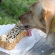 Three Dog starts its new products out in its 35 bakeries. If the products are successful, they are distributed through the company's pet specialty and food/drug/mass channels.