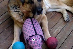 Zico, age 12, is from Germantown, Maryland, USA.