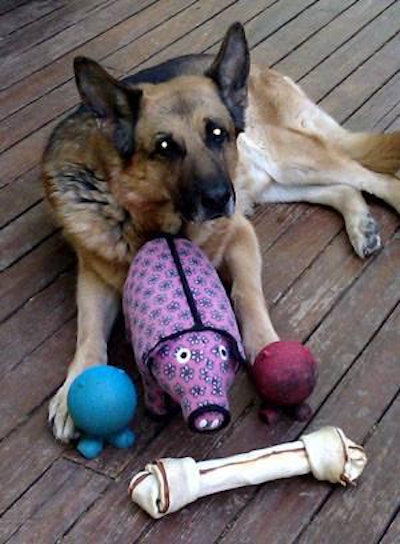 Zico, age 12, is from Germantown, Maryland, USA.