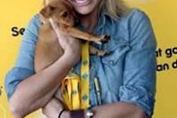Pedigree Miranda Lambert 1411 Pe Tnews