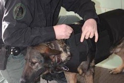 Deputy Justin Biggs' German Shepherd, Boss, received a Kevlar vest donated by Trouw.