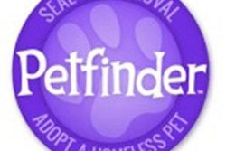 Petfinder's Seal of Approval certifies pet-friendly partner products, services and brands.