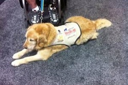 Service dogs like Benjamin from America's VetDogs change the lives of US military veterans.