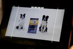 Wellness debuted a new ad campaign to highlight the benefits of a natural petfood diet.