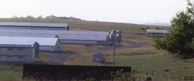 Valley Pike Farm in Broadway, Va.