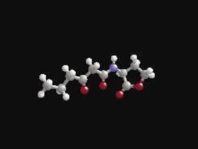 Chemical structure of the new molecule, OHHL