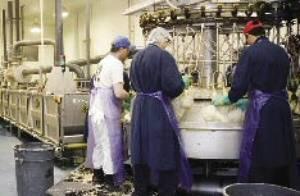 MBA Poultry is the only broiler plant in the USA with a CAS system.