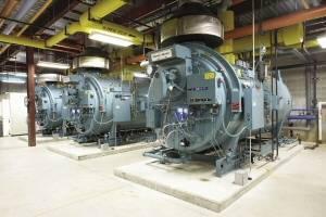 Algunas empresas usan la grasa de pollo como combustible de calderas.