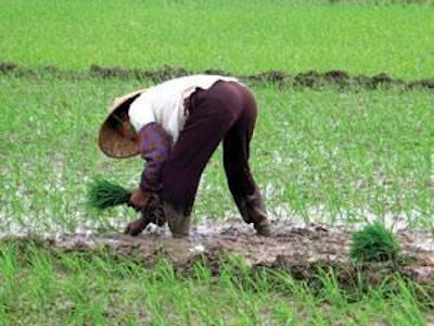 Under the new agreement, exporters from China must agree to annual inspections.