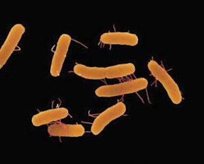 0803 Us Afsis Salmonella