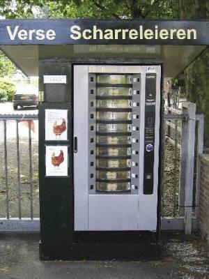 The vending machine, which contains 60 boxes with 10 eggs each, is open Monday through Saturday.