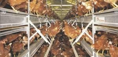 Big Dutchman's Natura 60 Aviary System was one of many products displayed at the 2009 Midwest Poultry Convention.