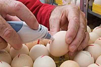Eggshell temperatures must be taken at the equator of the egg, because over the air sac the reading will register lower than the true embryo temperature.