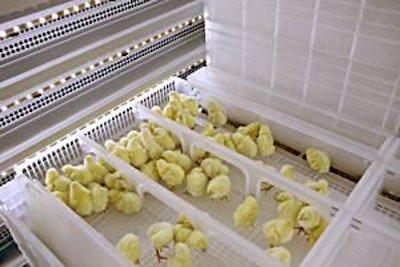 The HatchBrood concept is a logical extension of the research and technology devoted to the design of single-stage setters and hatchers.