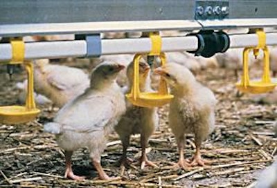 Growers underestimate ammonia levels when they depend on their noses and eyes for detection.