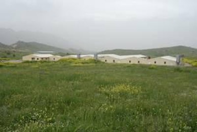Rasun Farms, Iraq.