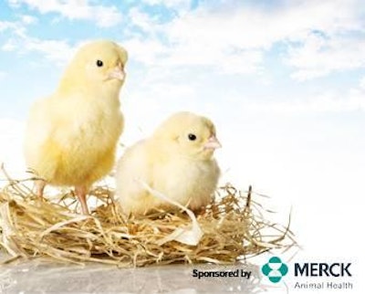 The free webinar, 'Coccidiosis Vaccination: A New Approach to Salmonella Control,' will be presented Thursday, December 19.