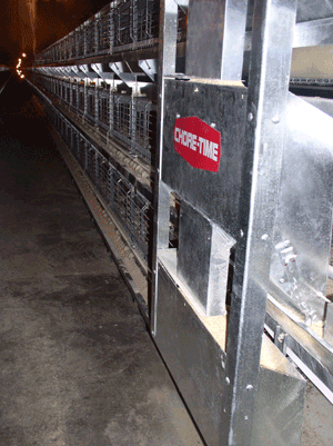 Chore Time Traveling Hopper F