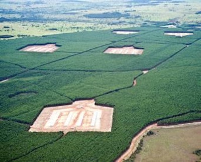 Cortesía de Cobb | Entre las cosas que se evalúan en la compartimentalización es la ubicación y diseño de las granjas.
