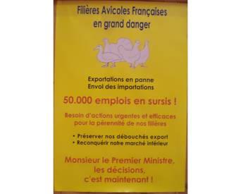 A flyer explains the possible loss of some 50,000 jobs along the poultry production chain.