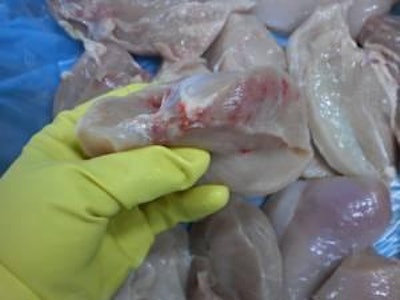 Figure 6. Hemorrhages in the chicken breast due to overstunning