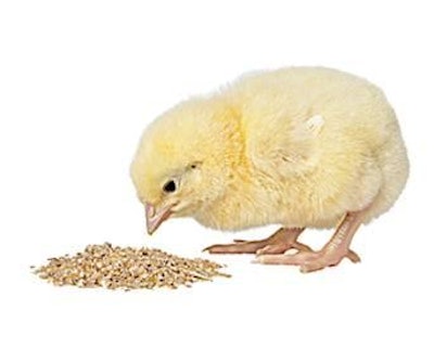 Use of enzymes can reduce the requirement for expensive protein-rich ingredients in feed and allow replacement with lower protein, often locally grown, feed ingredients without loss of performance.
