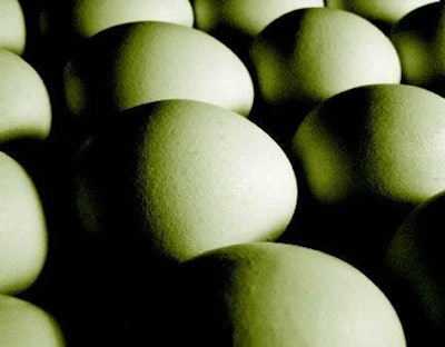 Dreamstime 3841 Eggs Opt