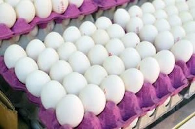 liza1979. Image from BigStockPhoto.com | Opportunities for poultry and egg exports from the U.S. to the Caribbean, Central America and South America are good prospects due to the growth of these regions’ economies and trade agreements already in place.