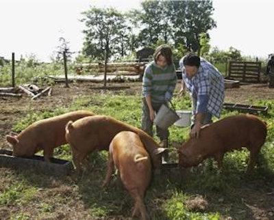 Phtographerlondon I Dreamstime.com | Highly-skilled, motivated and confident teams of pig people will help solve problems quickly and successfully.
