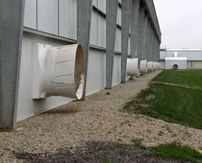 The stone or gravel barrier immediately adjacent to the laying house along with the grass always trimmed between the sheds helps keep rodents away from the outside wall.