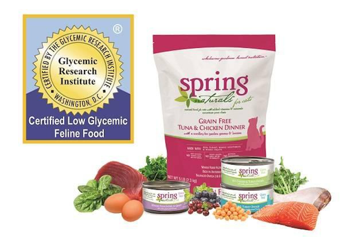 Spring naturals cat food discount