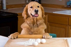 Dogbakery1