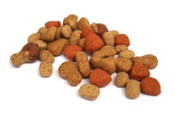 Pet Food Ingredients Issues