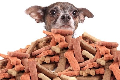 Pet treats continue to be a diversified, growing segment of the pet food market. | gvictoria.Image | BigStockPhoto.com