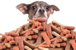 Pet treats continue to be a diversified, growing segment of the pet food market. | gvictoria.Image | BigStockPhoto.com