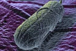 Salmonella