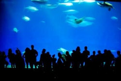 Courtesy freeimages.com, Rob Kimball | All of Mars' wild-caught fish supply has been replaced with sources approved by the Monterey Bay Aquarium's Seafood Watch program.