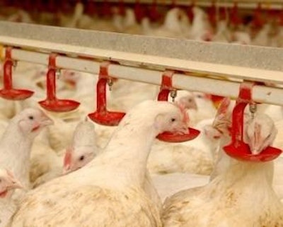 The Mexican Federal Economic Competition Commission has cleared Pilgrim's proposed acquisition of Tyson De Mexico.