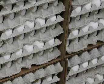 Michael Foods' egg supply has been severely diminished after avian influenza was confirmed in at least three of its flocks in Nebraska.