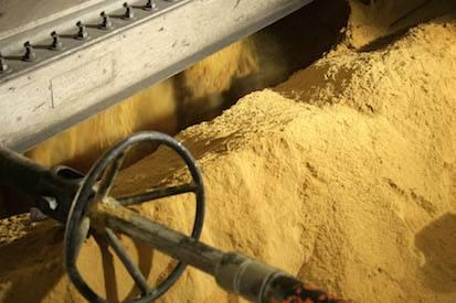 Foto: cortes&iacute;a de Proan | Los efectos de las micotoxinas en el alimento balanceado sobre la producci&oacute;n av&iacute;cola se han estudiado ampliamente y tenemos grandes conocimientos de la tolerancia de las diferentes clases de aves.