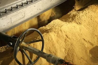 Foto: cortesía de Proan | Los efectos de las micotoxinas en el alimento balanceado sobre la producción avícola se han estudiado ampliamente y tenemos grandes conocimientos de la tolerancia de las diferentes clases de aves.