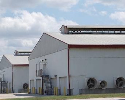 Depopulation and biosecurity are the primary means of eradicating avian influenza, but vaccination is an alternative that can be used when these fail.