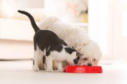 Fotolia | The market for pet ingredients is projected to reach US$37.3 billion by 2020.