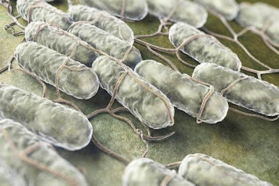 LexxIam | BigStockPhoto.com