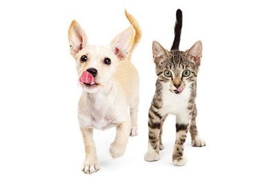 adoglifephoto.fotolia.com | The topic of pet food palatability is becoming more complex all the time as pet owners become increasingly involved in their petsâ?? eating habits.